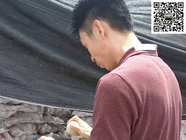 氧化铝球客户实地考察